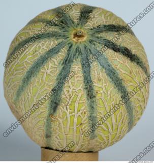 Melon Galia 0019